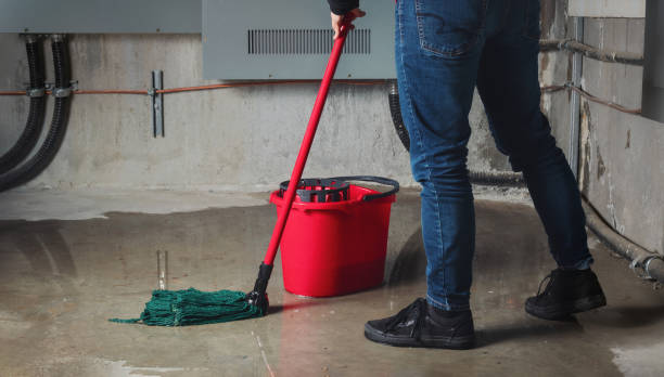  Brent, FL Water damage restoration Pros