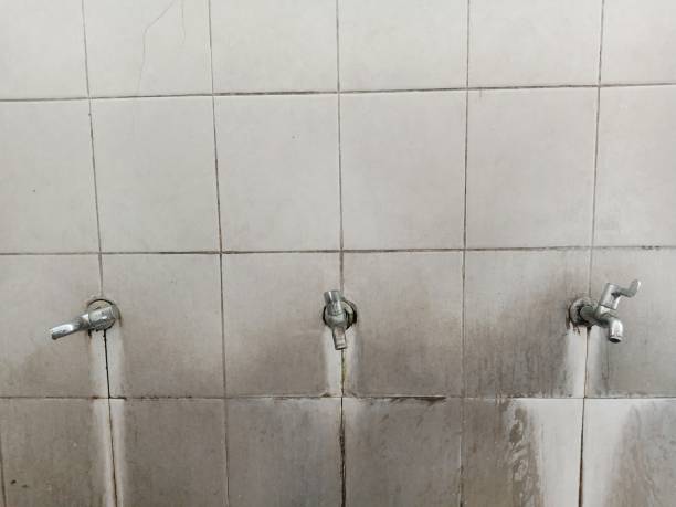 Best Flood restoration services  in Brent, FL