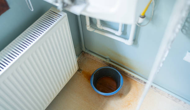 Best Mold removal after water damage  in Brent, FL
