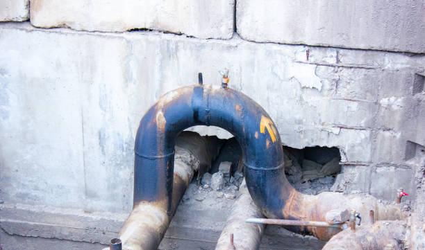 Best Local water damage restoration  in Brent, FL